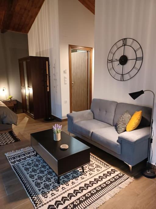Luxury Apartment With Balcony Mytilíni エクステリア 写真