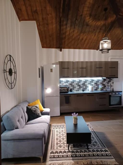 Luxury Apartment With Balcony Mytilíni エクステリア 写真