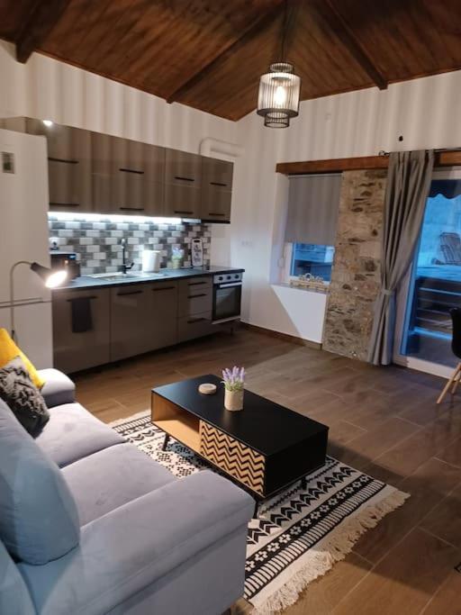 Luxury Apartment With Balcony Mytilíni エクステリア 写真