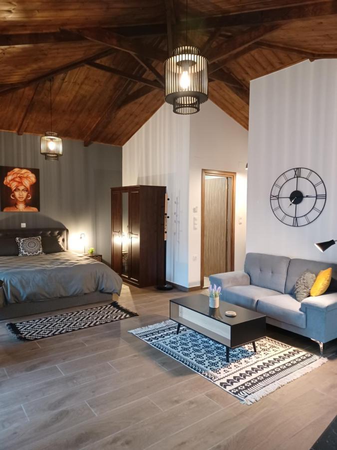 Luxury Apartment With Balcony Mytilíni エクステリア 写真